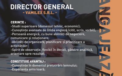 Valimex angajeaza director general